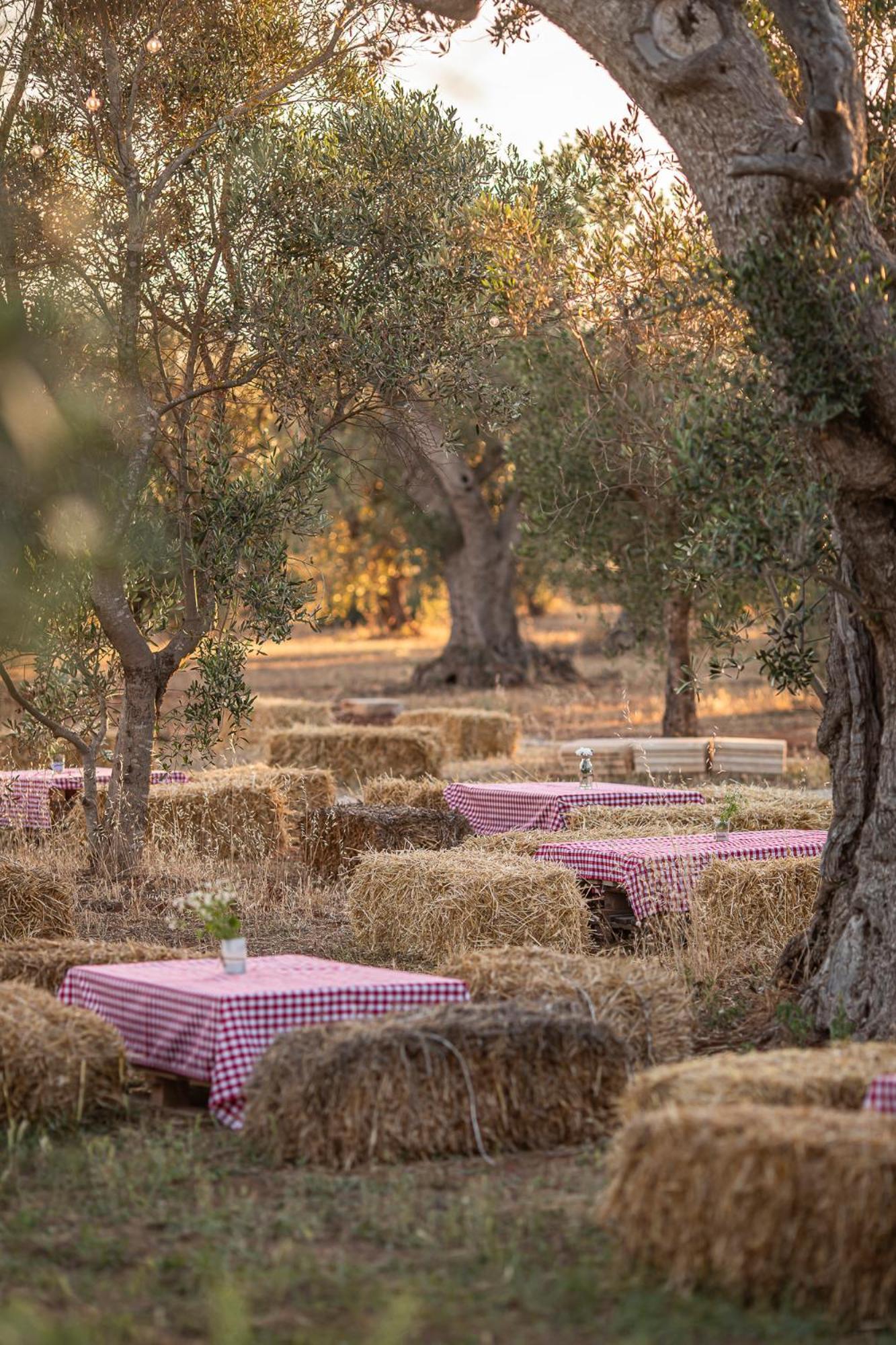 Le Chiese Azienda Bio Agri Turistica San Pietro in Lama Buitenkant foto